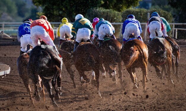 Winning More Consistently With Horse Racing