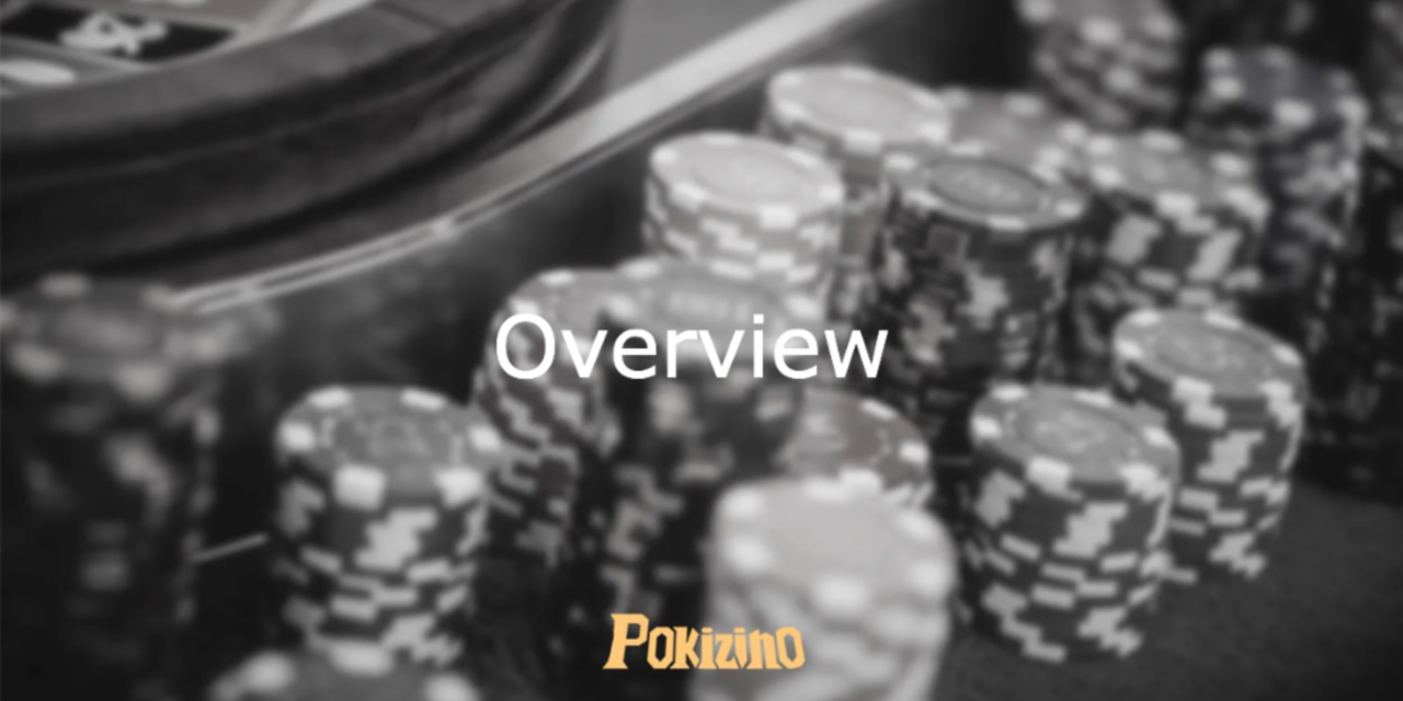 Overview of the Pokizino gaming platform